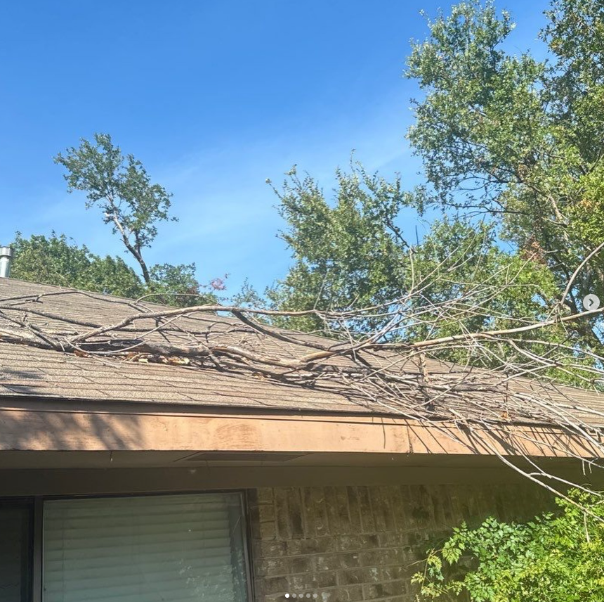 tree roof damage